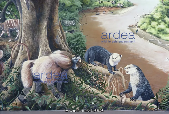 : Extinct Ethiopian Mammals : Extinct Ethiopian Mammals