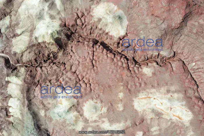 : Extremely mineral-rich ground in the area of the : Extremely mineral-rich ground in the area of the