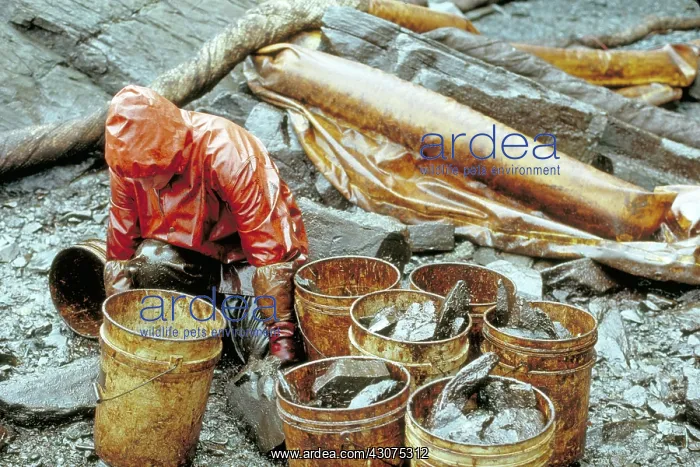 : Exxon Valdez clean-up : Exxon Valdez clean-up