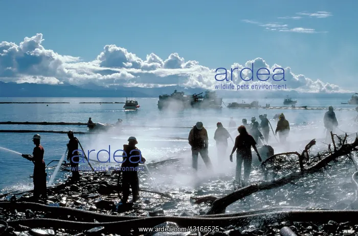 : Exxon Valdez clean-up : Exxon Valdez clean-up