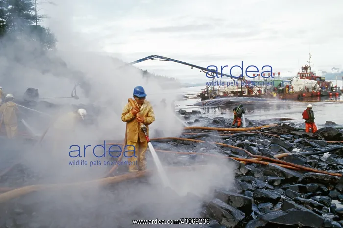 : Exxon-Valdez Oil Spill : Exxon-Valdez Oil Spill