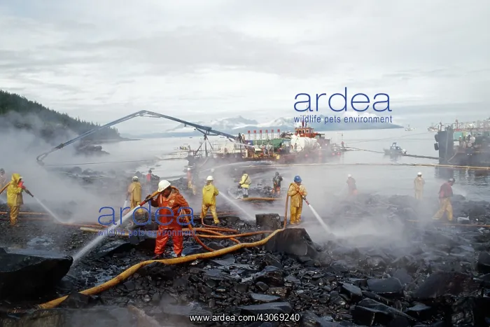 : Exxon-Valdez Oil Spill : Exxon-Valdez Oil Spill