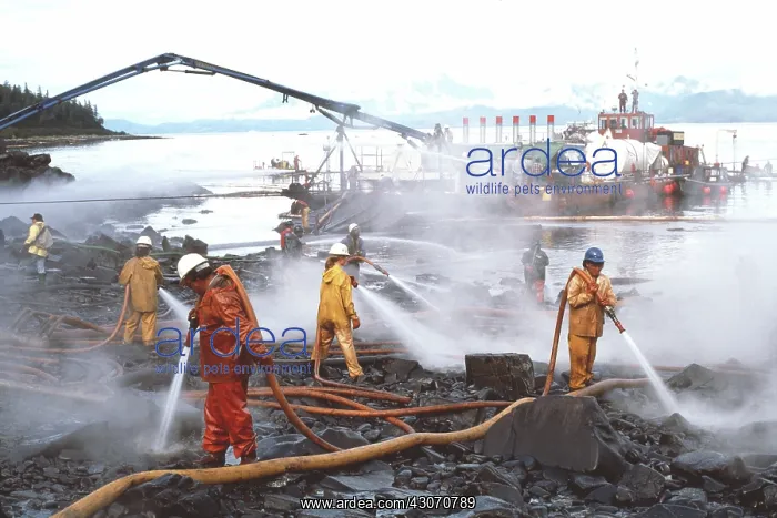 : Exxon Valdez oil spill : Exxon Valdez oil spill