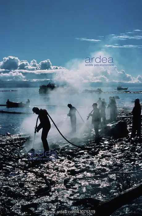 : Exxon Valdez oil spill : Exxon Valdez oil spill