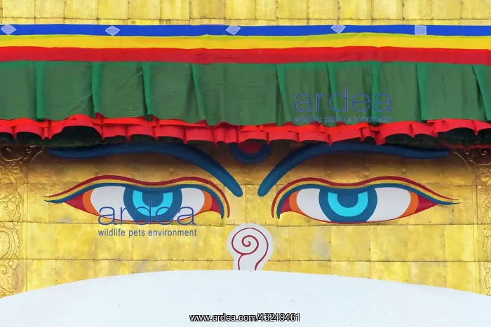 : The Eyes of Boudhanath (Boudha Stupa), UNESCO World : The Eyes of Boudhanath (Boudha Stupa), UNESCO World