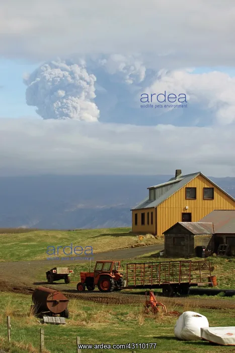 : Eyjafjallaj?? ?kull Ash Cloud, Iceland : Eyjafjallaj?? ?kull Ash Cloud, Iceland
