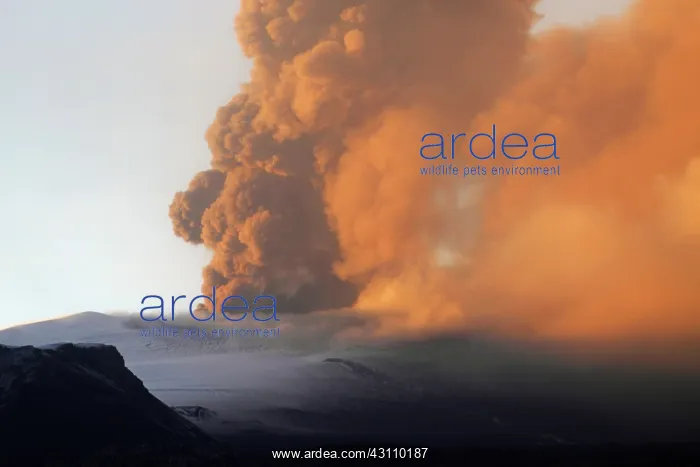 : Eyjafjallaj?? ?kull Ash Cloud, Iceland : Eyjafjallaj?? ?kull Ash Cloud, Iceland