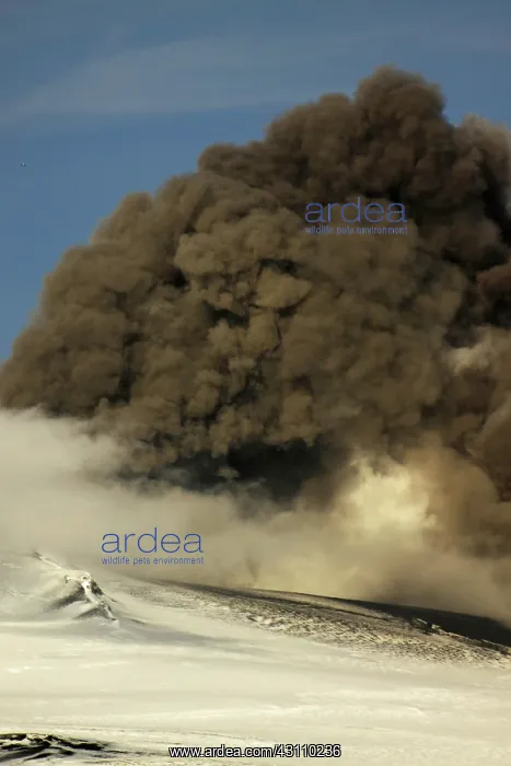 : Eyjafjallaj?? ?kull Ash Cloud, Iceland : Eyjafjallaj?? ?kull Ash Cloud, Iceland