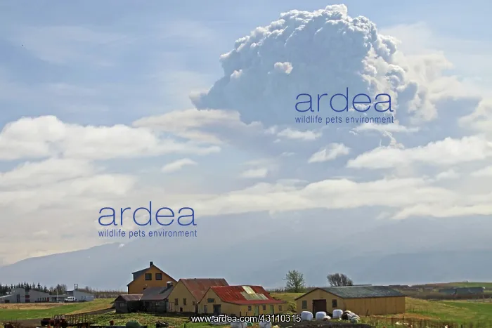 : Eyjafjallaj?? ?kull Ash Cloud, Iceland : Eyjafjallaj?? ?kull Ash Cloud, Iceland