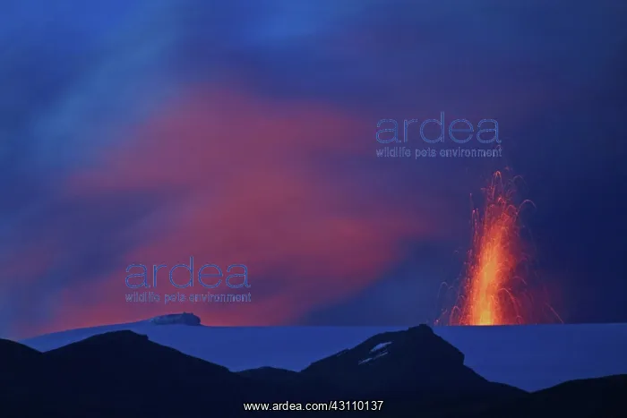 : Eyjafjallaj?? ?kull Erupting, Iceland : Eyjafjallaj?? ?kull Erupting, Iceland