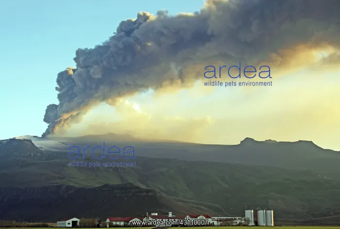 : Eyjafjallajokull Volcano : Eyjafjallajokull Volcano