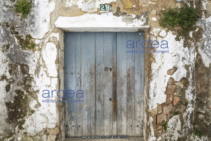 : Fa&, xe7;ade of an abandoned building in the hilltop : Fa&, xe7;ade of an abandoned building in the hilltop