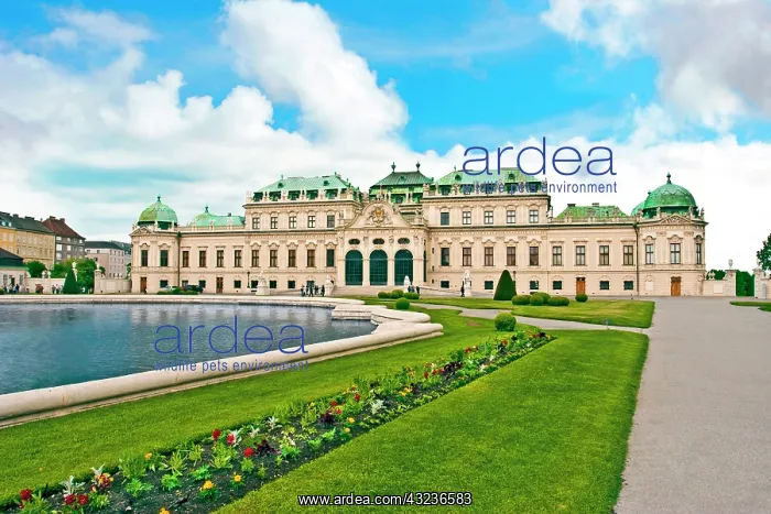 : Front Facade of Schloss Schonbrunn palace : Front Facade of Schloss Schonbrunn palace