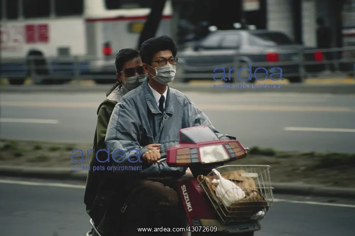 : Face Mask in Polluted City : Face Mask in Polluted City