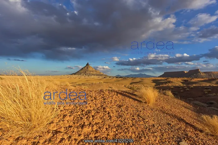 : Factory Butte and North Caineville Mesa : Factory Butte and North Caineville Mesa