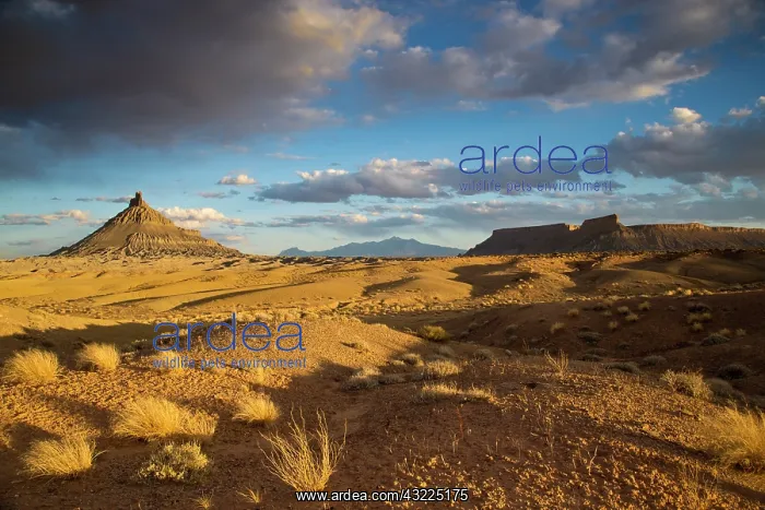 : Factory Butte in the Upper Blue Hills near : Factory Butte in the Upper Blue Hills near