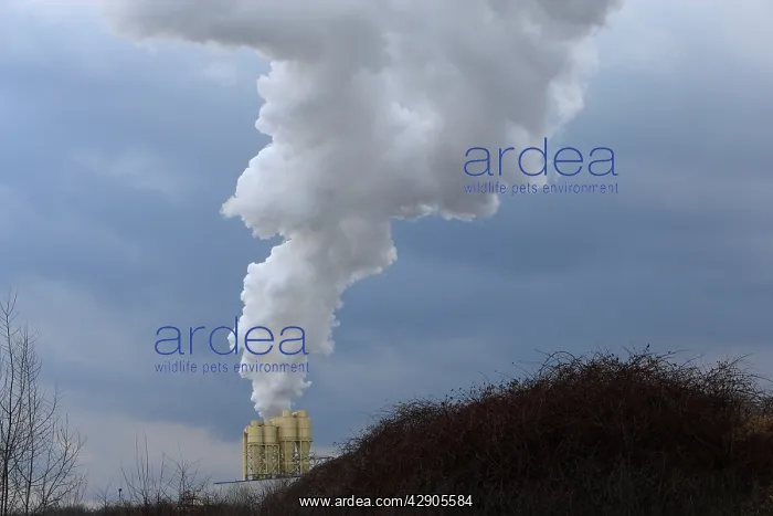 : Factory - smoke billowing from factory chimneys : Factory - smoke billowing from factory chimneys