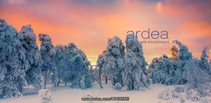 : Fagne landscape under the snow, Ardennes, Belgium : Fagne landscape under the snow, Ardennes, Belgium