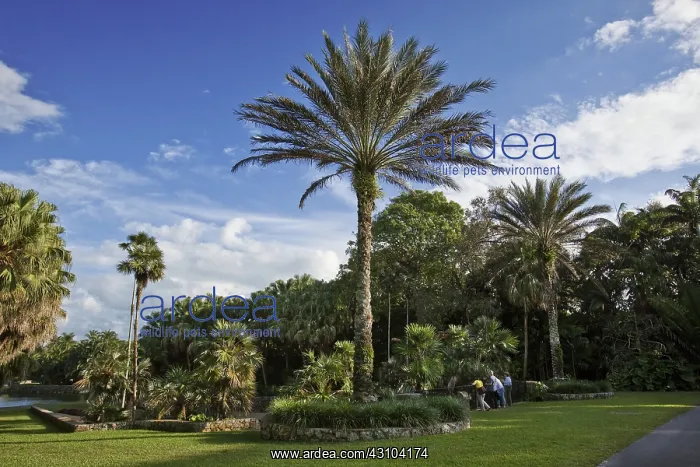 : Fairchild Botanic Garden : Fairchild Botanic Garden