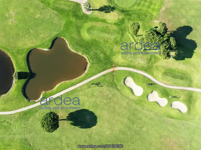 : Fairway at the Islantilla Golf Resort. Aerial view : Fairway at the Islantilla Golf Resort. Aerial view