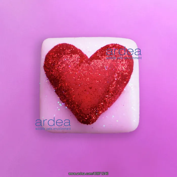 : Fairy Cake - heart : Fairy Cake - heart