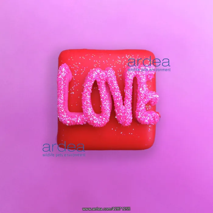  : Fairy Cake - love