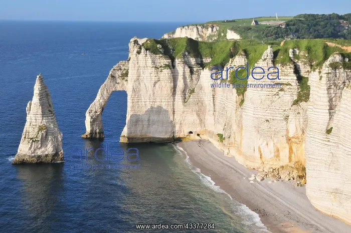 : Falaise dAval cliff, cliffs, Etretat, Caete dAlbatre : Falaise dAval cliff, cliffs, Etretat, Caete dAlbatre
