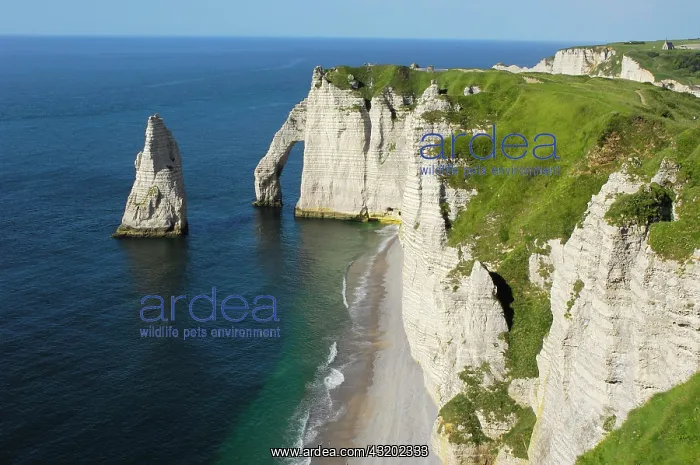 : Falaise d'aval, sea cliff, &, xc9;tretat, C&, xf4;te : Falaise d'aval, sea cliff, &, xc9;tretat, C&, xf4;te
