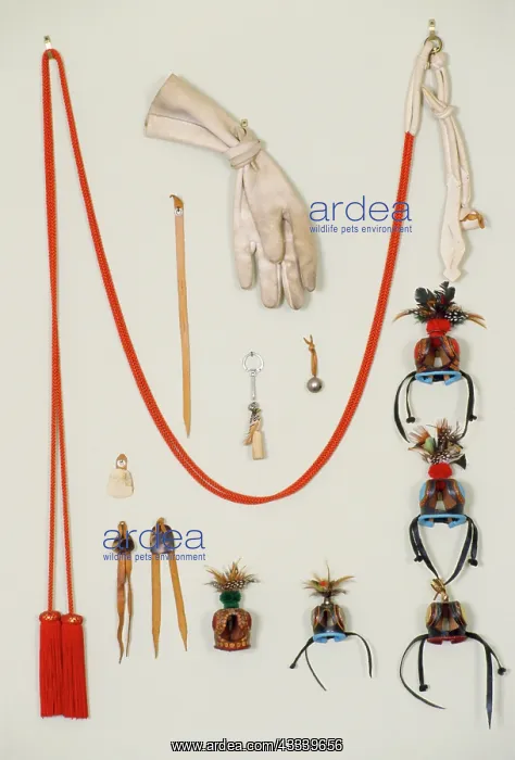  : Falconry Equipment