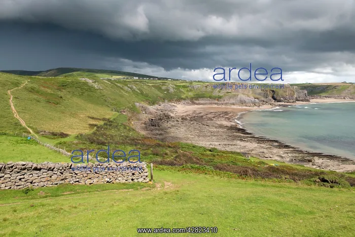  : Fall Bay - Gower