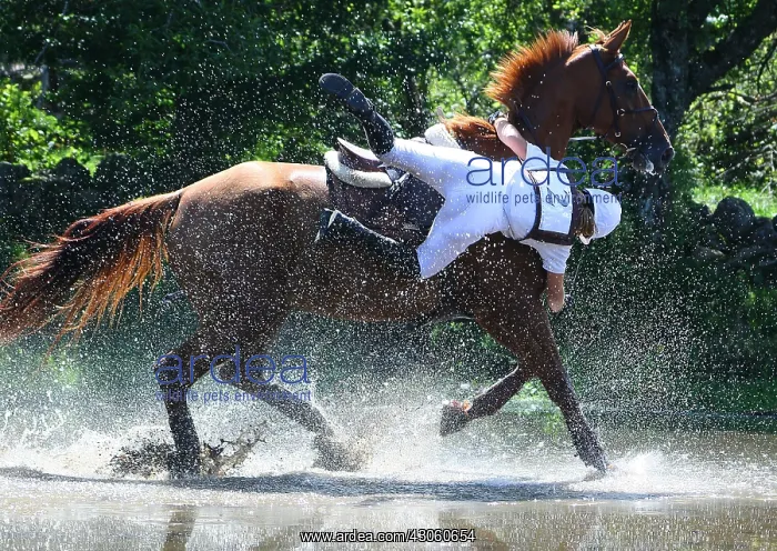 : Fall of horse in a horse to Nasbinals Lozere : Fall of horse in a horse to Nasbinals Lozere