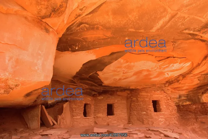 : Fallen Roof Ruin - ancient puebluan dwelling built : Fallen Roof Ruin - ancient puebluan dwelling built