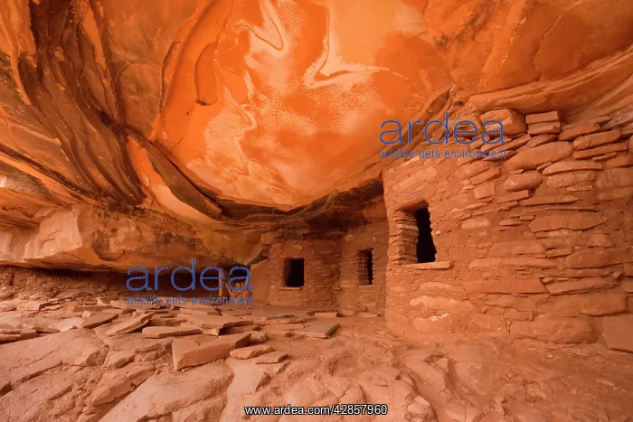 : Fallen Roof Ruin - ancient puebluan dwelling built : Fallen Roof Ruin - ancient puebluan dwelling built