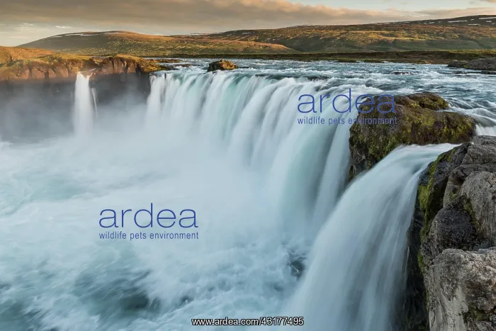 : Falling water masses, evening light, waterfall Godafoss : Falling water masses, evening light, waterfall Godafoss