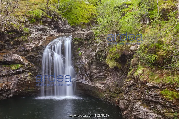 : Falls of Falloch - Falloch river cascades down a : Falls of Falloch - Falloch river cascades down a