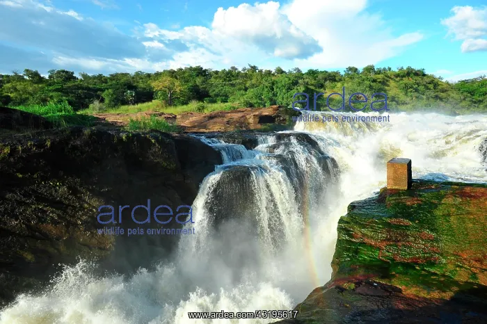: The falls has been named in honor of the president : The falls has been named in honor of the president