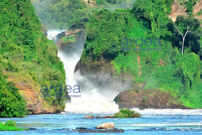 : The falls has been named in honor of the president : The falls has been named in honor of the president
