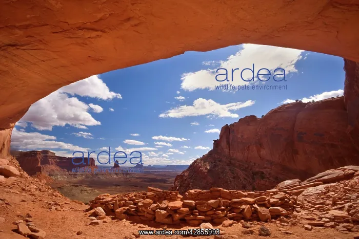 : False Kiva - ancient indian ruin tucked into an : False Kiva - ancient indian ruin tucked into an
