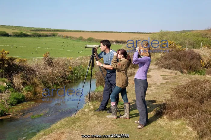  : Family bird watching