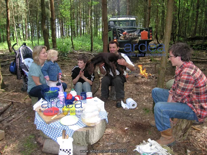  : Family picnic in woods