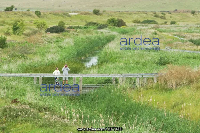 : Family visiting nature reserve : Family visiting nature reserve