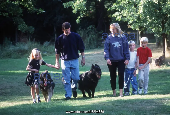 : FAMILY WALKING DOGS - in forest : FAMILY WALKING DOGS - in forest