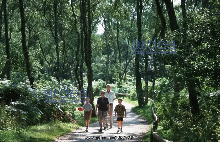  : Family walking in forest