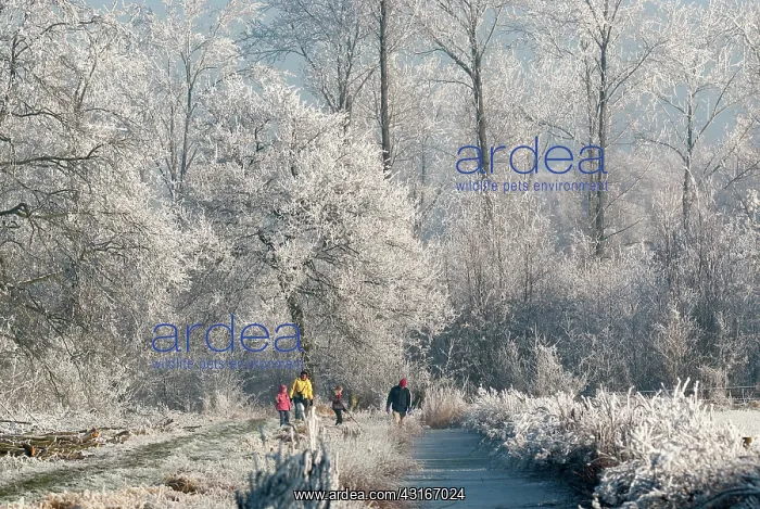 : Family walking in rime ice covered winter landscape : Family walking in rime ice covered winter landscape