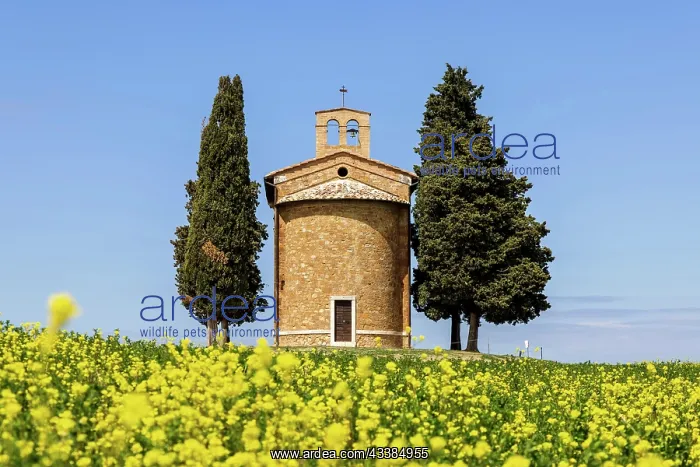 : The famous chapel Cappella della Madonna di Vitaleta i : The famous chapel Cappella della Madonna di Vitaleta i