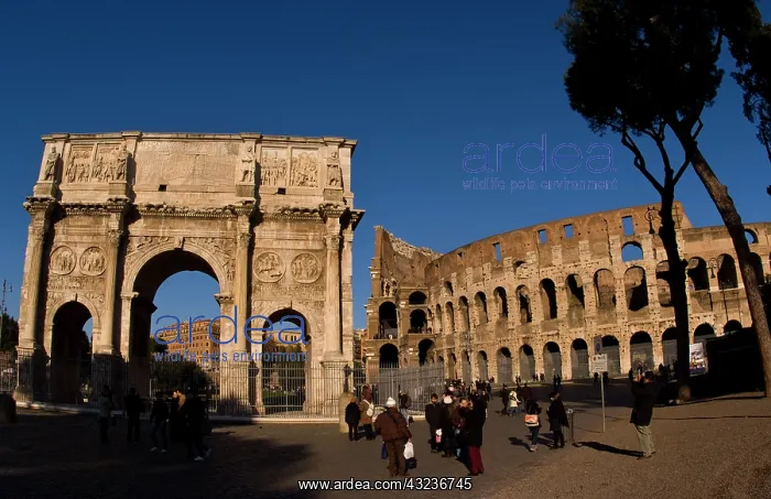 : Famous Colosseum and Constantine Arch in : Famous Colosseum and Constantine Arch in