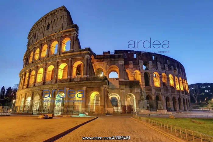 : The famous Colosseum in Rome illuminated at dusk : The famous Colosseum in Rome illuminated at dusk