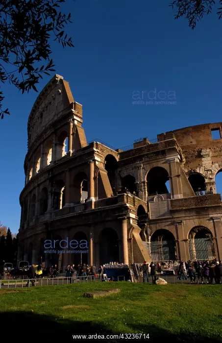  : Famous Colosseum in Rome Italy Landmark