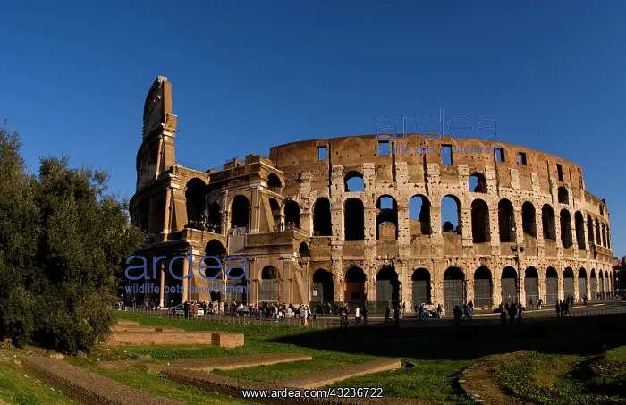 : Famous Colosseum in Rome Italy Landmark : Famous Colosseum in Rome Italy Landmark