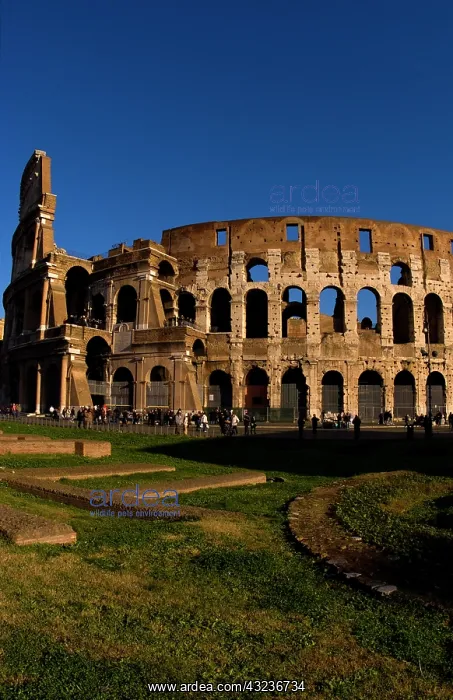 : Famous Colosseum in Rome Italy Landmark : Famous Colosseum in Rome Italy Landmark